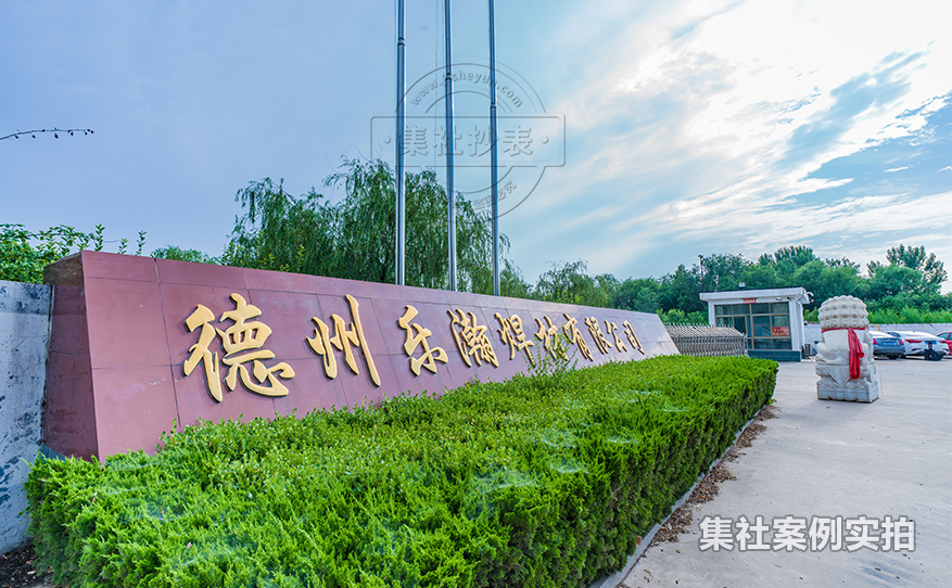 工厂远程抄表系统